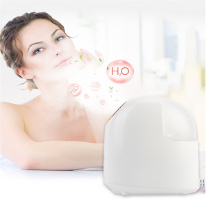 Beauty Facial skin Steamer