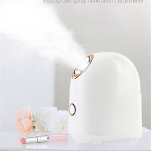 Beauty Facial skin Steamer