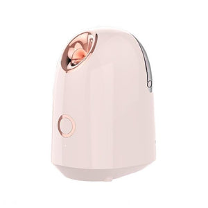 Beauty Facial skin Steamer